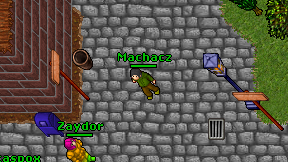 Machacz on screen