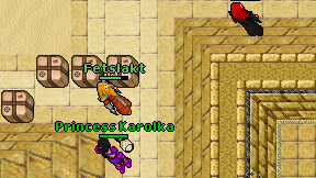 Fetslakt on screen