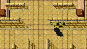 Druid jin on screen