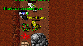 Felo Shara on screen