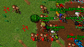 Janektm on screen
