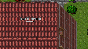 Defii'druid on screen