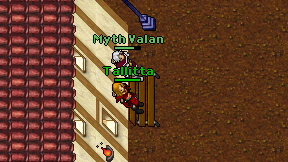 Tallitta on screen