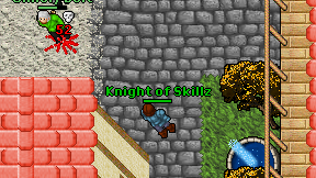 Knight of Skillz on screen