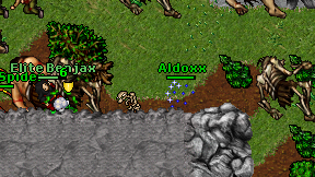 Aldoxx on screen