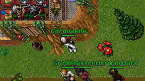 Gordoakile on screen