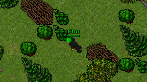 Chu on screen