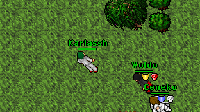 Karlassh on screen