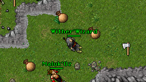 Wither'Wizard on screen