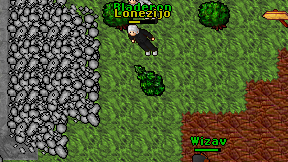 Lonezijo on screen