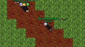 Druidusiek on screen