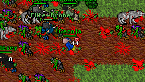 Gezoja on screen