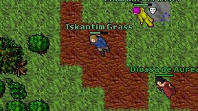 Iskantim Grass on screen