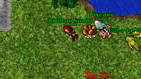 Amiltax Sunda on screen