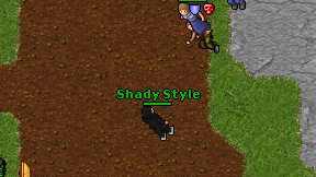 Shady Style on screen