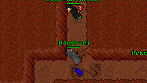 Dandrzej on screen