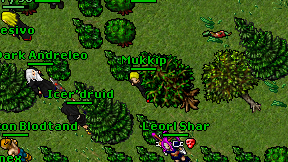 Mukkip on screen