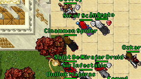 Cinammon Spider on screen