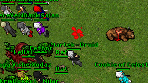 Martek-Druid on screen
