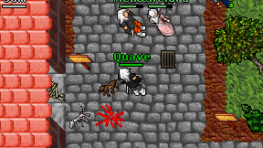 Quave on screen