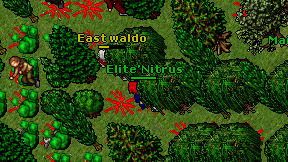 Elite'Nitrus on screen