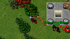 Karpju on screen