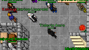 Tiderix Auro on screen