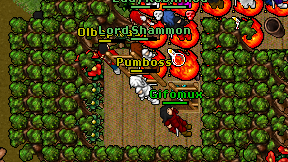 Pumboss on screen