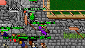 Shimos Druid on screen
