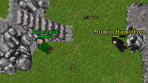 Kakamil on screen