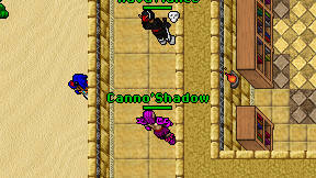 Canno'Shadow on screen