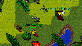 Sir Yokey on screen