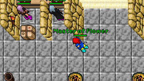 Master of Flower on screen