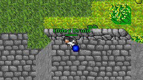 Hidey Druid on screen