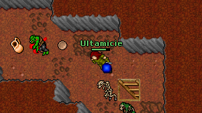 Ultamicie on screen