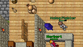 Nalog Fighter on screen
