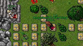 Angel with Destiny on screen