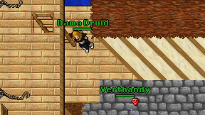 Dama Druid on screen