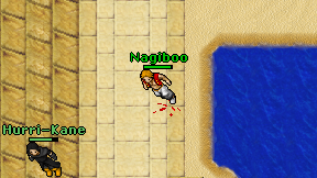Nagiboo on screen