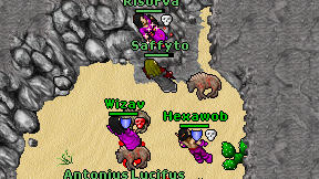Saffyto on screen
