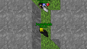 Japuhah on screen