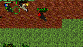 Pasky on screen