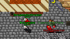 Dragondestroyer on screen