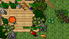 Onix Sorcerer on screen