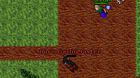 Dario Garlic Master on screen