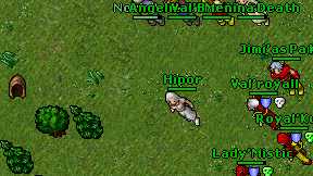 Norkamus on screen