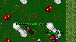 Kocham Kapuste on screen