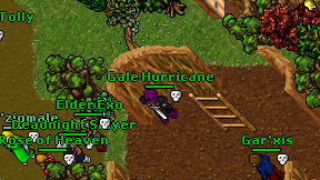 Gale Hurricane on screen