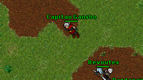 Capitao Gansho on screen