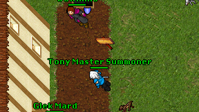 Tony Master Summoner on screen